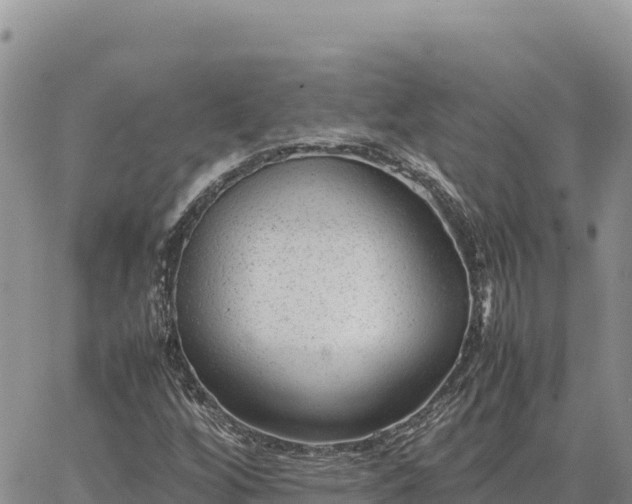 X0000064771256200602171815