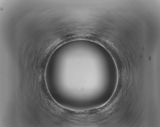 X0000064771257200602171815