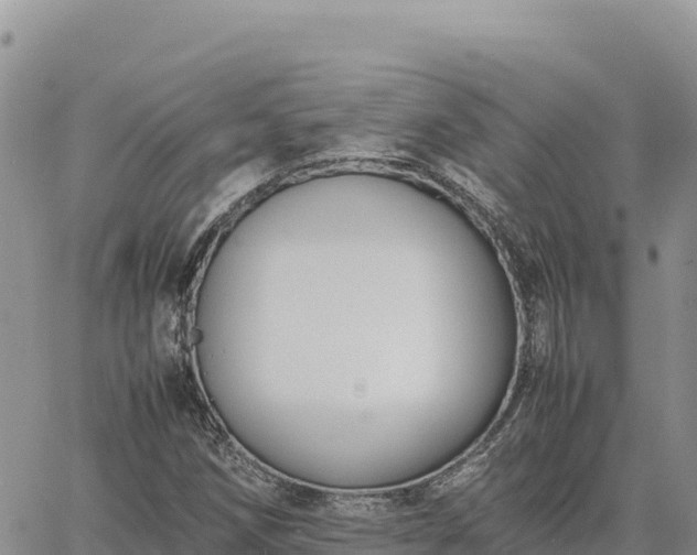 X0000064771258200602171815