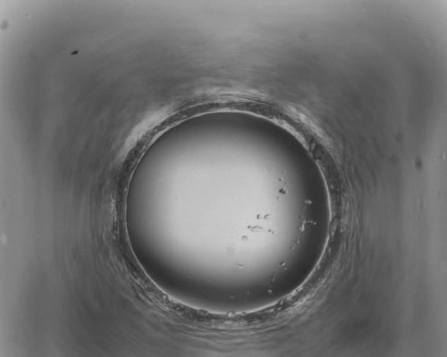 X0000064771261200602171815