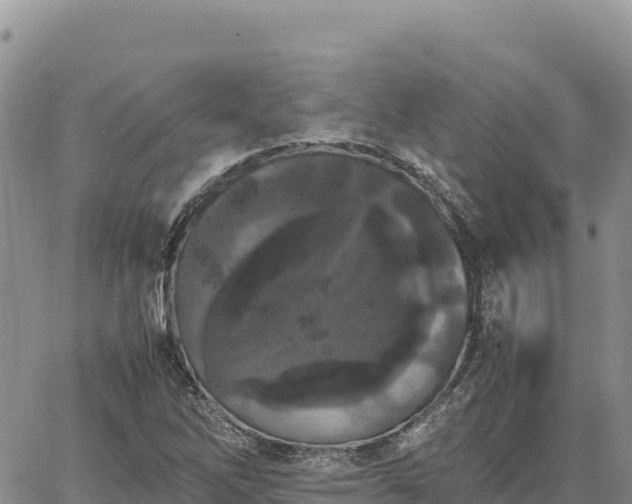 X0000064771262200602171815