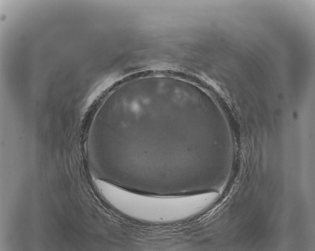 X0000064771263200602171815