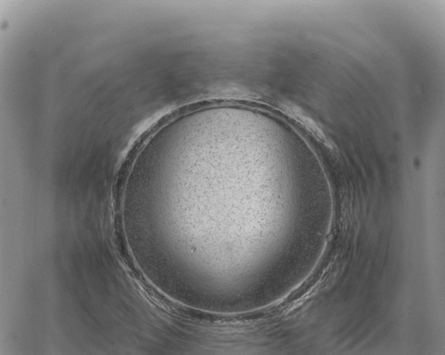 X0000064771264200602171815