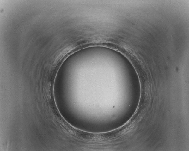 X0000064771265200602171815