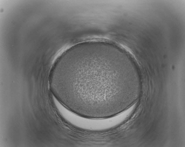 X0000064771267200602171815