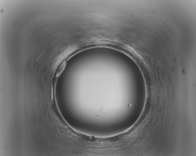 X0000064771269200602171815