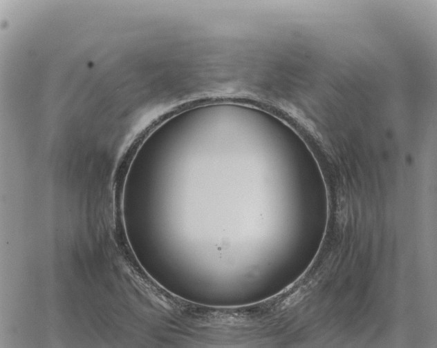 X0000064771270200602171815