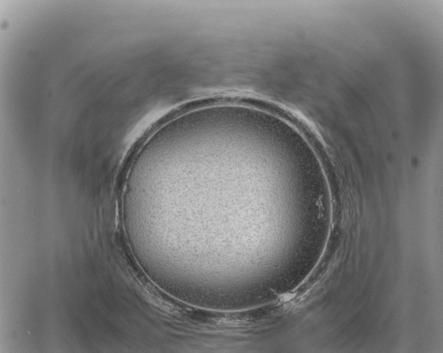 X0000064771271200602171815