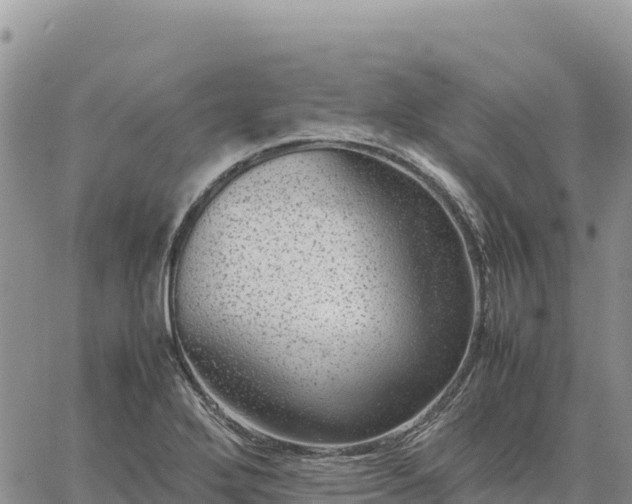 X0000064771272200602171815