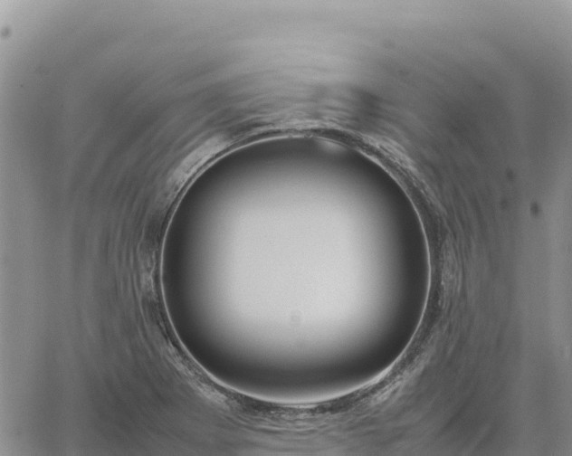 X0000064771273200602171815