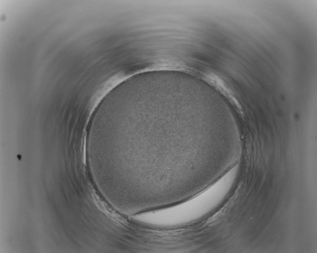 X0000064771276200602171815