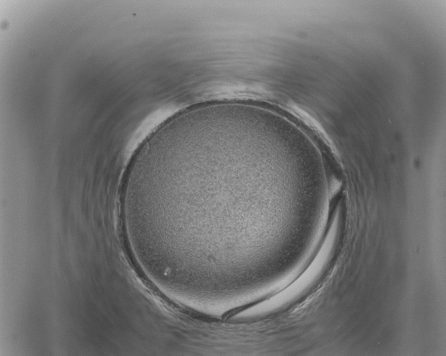 X0000064771277200602171815