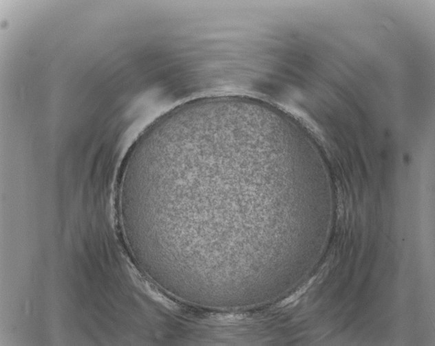 X0000064771278200602171815