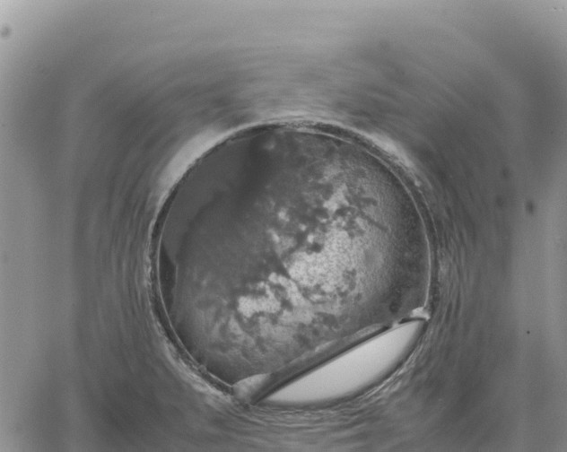 X0000064771279200602171815