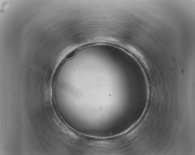 X0000064771280200602171815