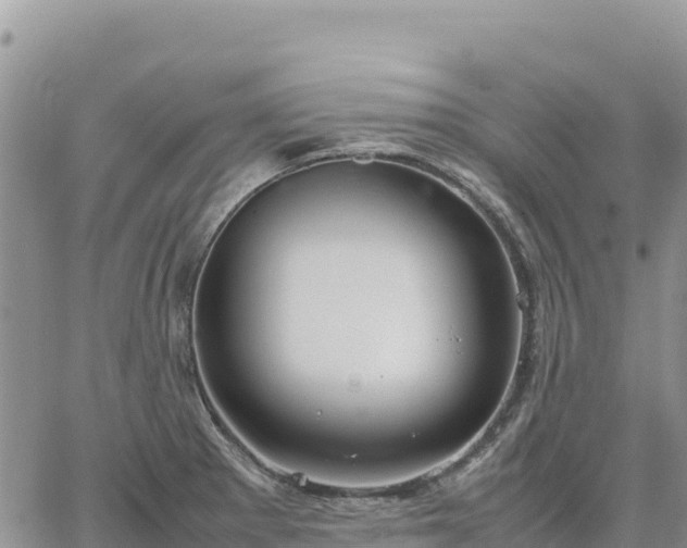 X0000064771281200602171815