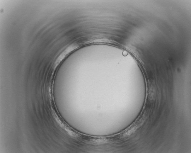 X0000064771282200602171815