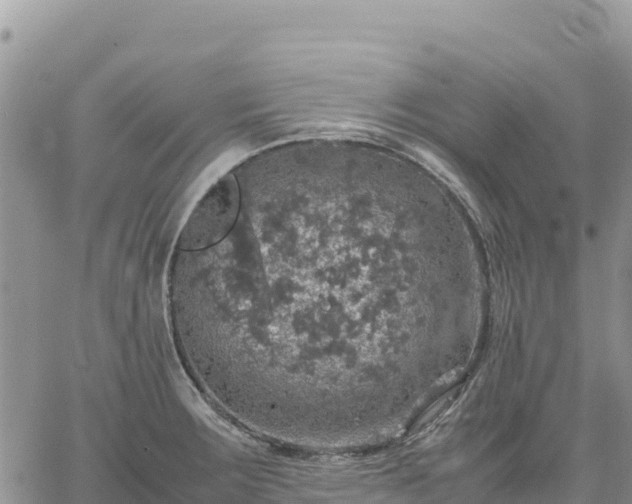 X0000064771283200602171815