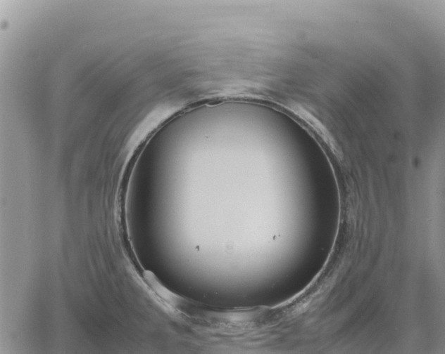 X0000064771285200602171815