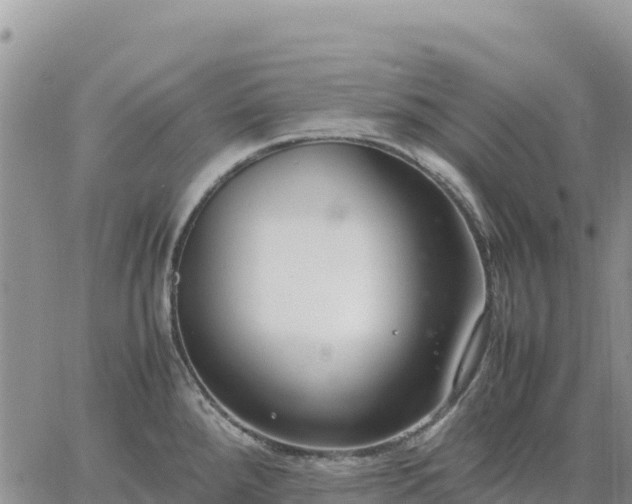 X0000064771288200602171815