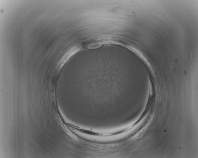 X0000064771289200602171815