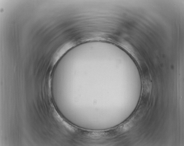 X0000064771290200602171815