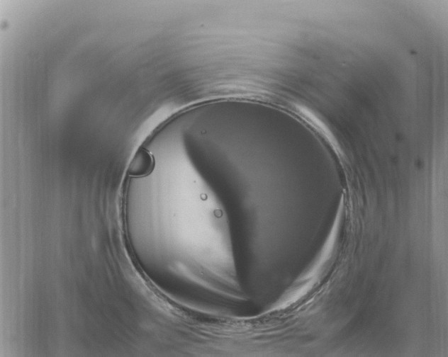 X0000064771291200602171815