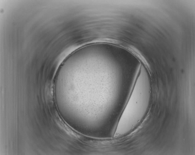 X0000064771292200602171815