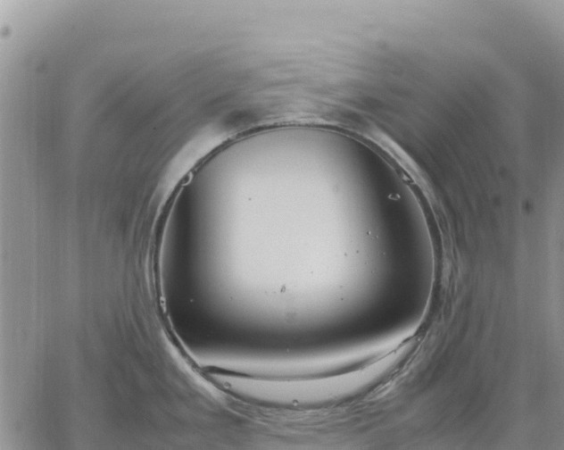 X0000064771293200602171815