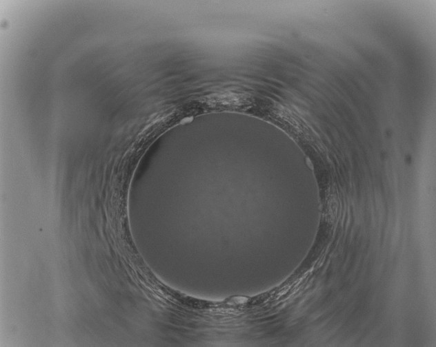 X0000064771297200602171814