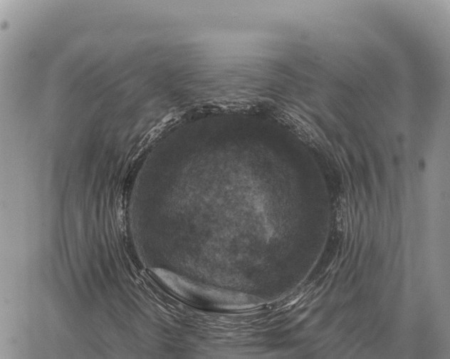 X0000064771298200602171814