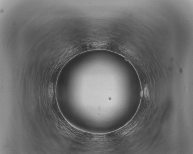 X0000064771299200602171814