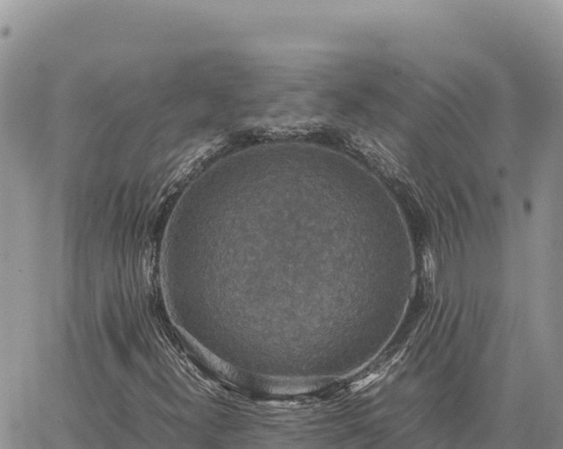 X0000064771300200602171814