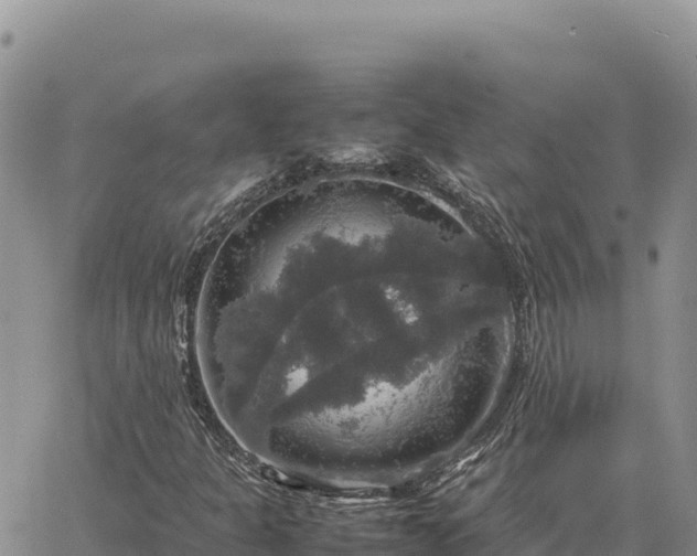 X0000064771301200602171814