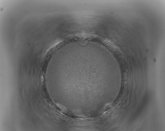 X0000064771302200602171814