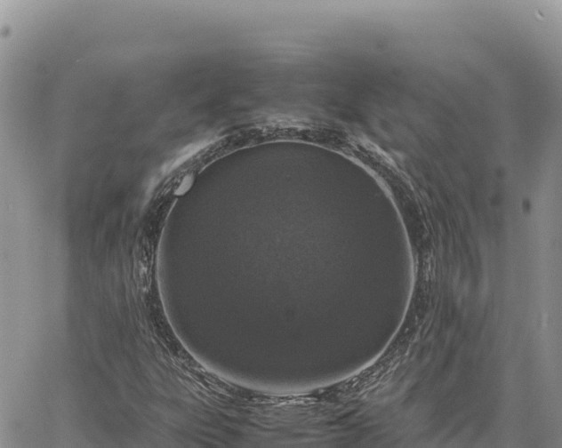 X0000064771303200602171814