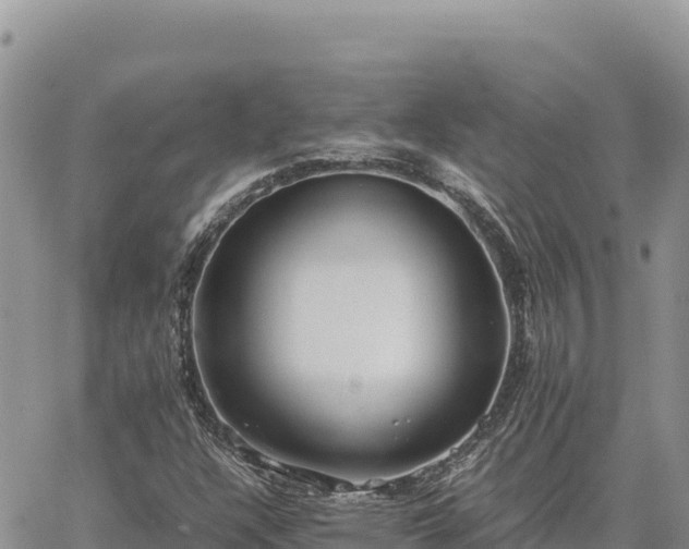 X0000064771304200602171814