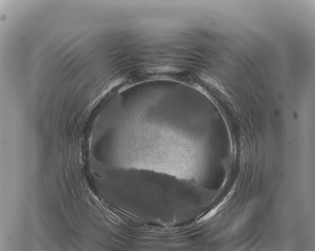 X0000064771305200602171814