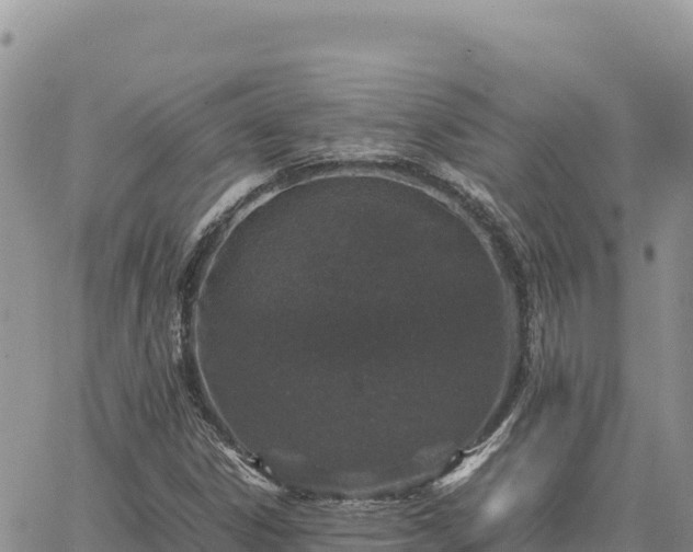 X0000064771306200602171814