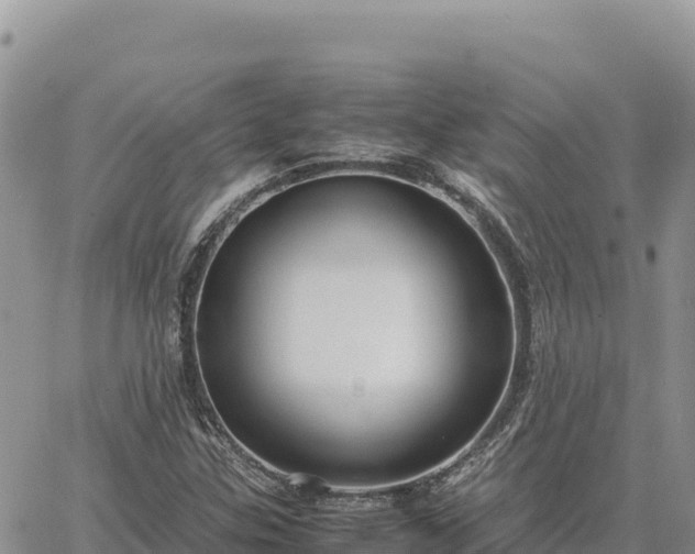 X0000064771307200602171814