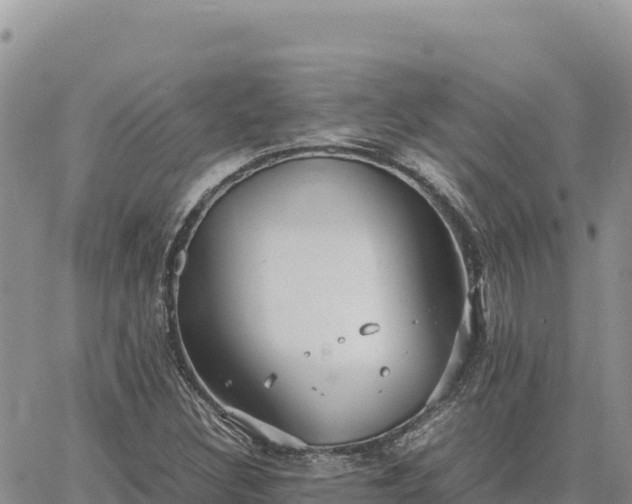 X0000064771308200602171814