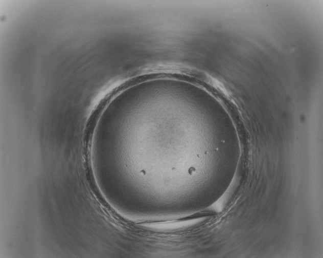 X0000064771312200602171814