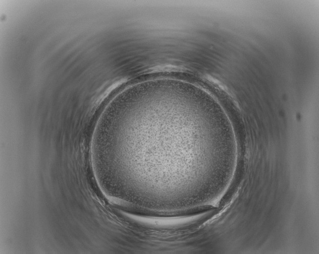 X0000064771313200602171814