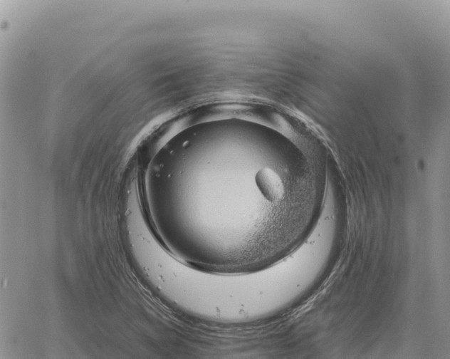 X0000064771314200602171814