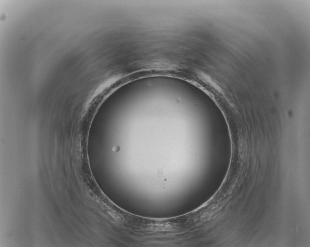 X0000064771315200602171814