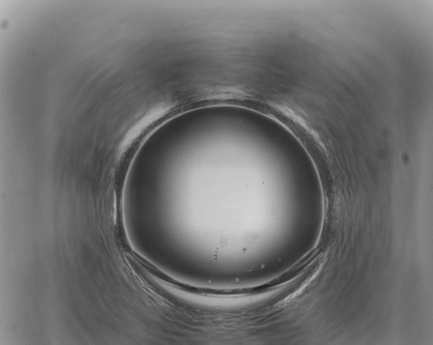 X0000064771317200602171814