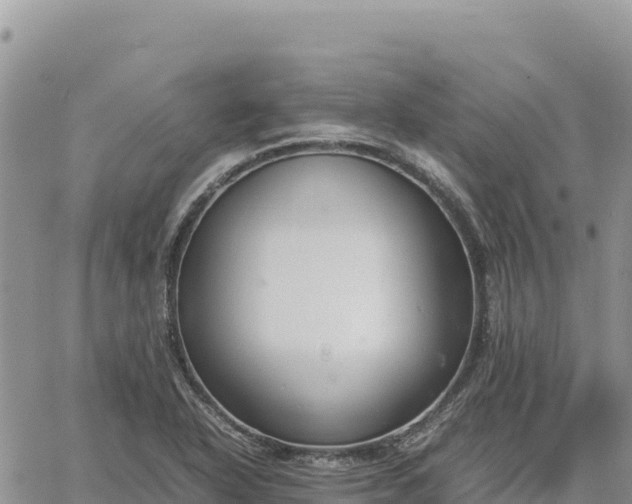 X0000064771318200602171814