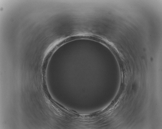 X0000064771319200602171814