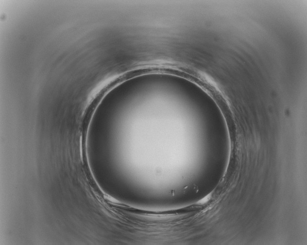 X0000064771320200602171814