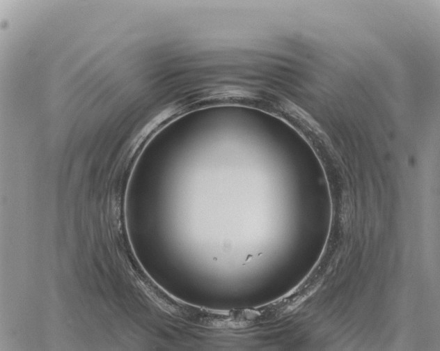 X0000064771321200602171814